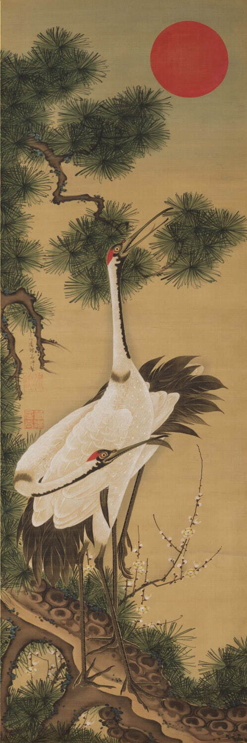 孔雀の画家”岡本秋暉の回顧展が千葉市美術館で - 華麗な花鳥画