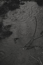 ラッド ミュージシャン2024年秋冬コレクション - 太宰治に着想、退廃的な空気をまとって｜写真42