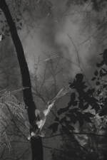 ラッド ミュージシャン2024年秋冬コレクション - 太宰治に着想、退廃的な空気をまとって｜写真58