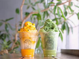 MAISON KITSUNE&#39; - お抹茶ページ MAISON KITSUNE' - お抹茶ページ Café Kitsuné matcha | Maison