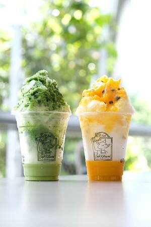 カフェ キツネのふわふわかき氷“抹茶プリン入り”濃厚抹茶