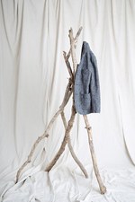 サワ タカイ(sawa takai) サワ タカイ｜写真18