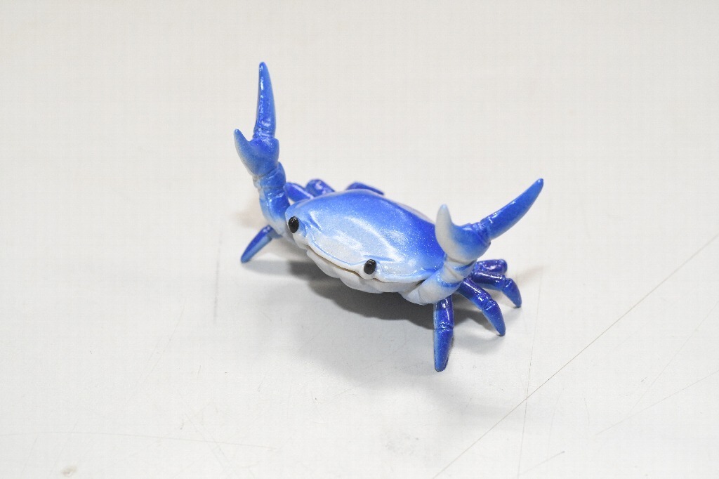 銀座ロフトに全国各地の水族館グッズが集結、コツメカワウソの刺繍ポーチやペンギンコップなど｜写真18