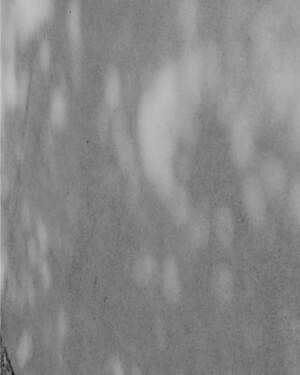 ティー・ティー(T.T) 2025年春夏メンズコレクション  - 写真2