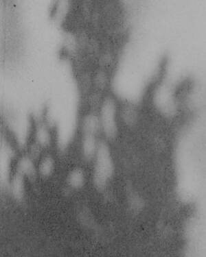 ティー・ティー(T.T) 2025年春夏メンズコレクション  - 写真4