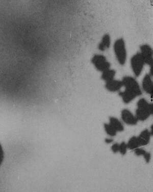 ティー・ティー(T.T) 2025年春夏メンズコレクション  - 写真6