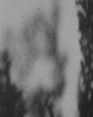 ティー・ティー(T.T) 2025年春夏メンズコレクション  - 写真8