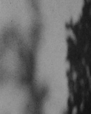 ティー・ティー(T.T) 2025年春夏メンズコレクション  - 写真12