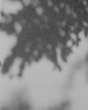 ティー・ティー(T.T) 2025年春夏メンズコレクション  - 写真16