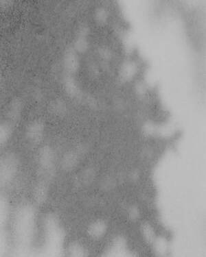 ティー・ティー(T.T) 2025年春夏メンズコレクション  - 写真22