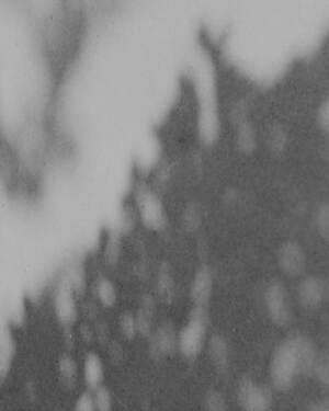 ティー・ティー(T.T) 2025年春夏メンズコレクション  - 写真32