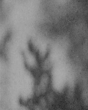 ティー・ティー(T.T) 2025年春夏メンズコレクション  - 写真38