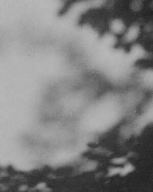 ティー・ティー(T.T) 2025年春夏メンズコレクション  - 写真46