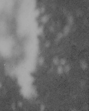 ティー・ティー(T.T) 2025年春夏メンズコレクション  - 写真48