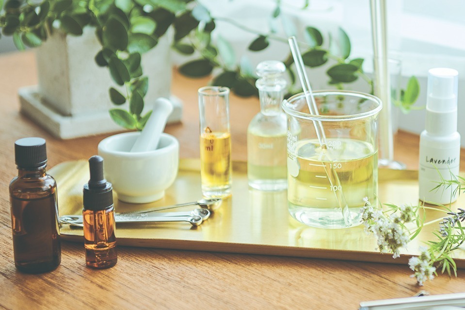 好きな香りから“理想のアロマ選び”体験型イベントが九州・博多阪急に初上陸、AI カオリウム×生活の木