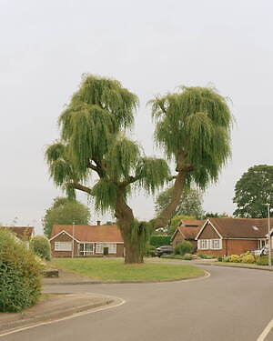 エフシーイー(F/CE.) 2025年春夏ウィメンズ&メンズコレクション  - 写真13