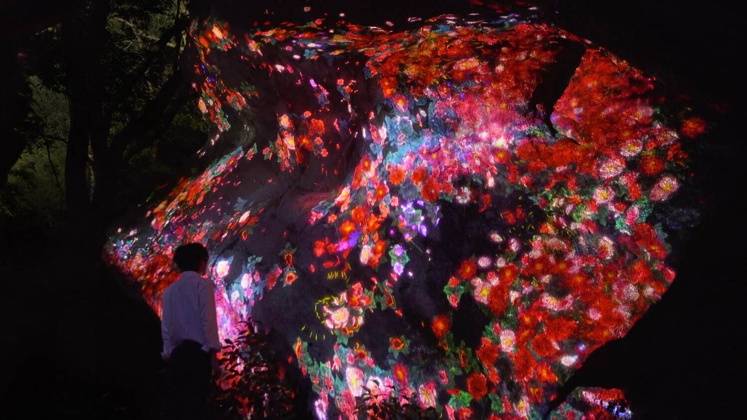 チームラボが佐賀・御船山楽園の大自然を光のアートに、滝”の投影や輝く桜＆もみじなど｜写真2