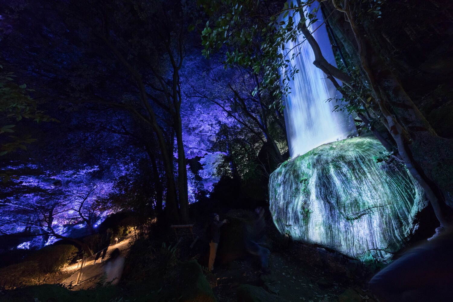 チームラボが佐賀・御船山楽園の大自然を光のアートに、滝”の投影や輝く桜＆もみじなど｜写真23