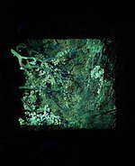 チームラボが佐賀・御船山楽園の大自然を光のアートに、滝”の投影や輝く桜＆もみじなど｜写真17