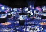 マクセル アクアパーク品川「ネイキッド 花火アクアリウム」海の生き物×デジタル花火の“夏祭り”｜写真9