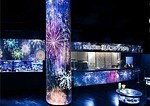 マクセル アクアパーク品川「ネイキッド 花火アクアリウム」海の生き物×デジタル花火の“夏祭り”｜写真8