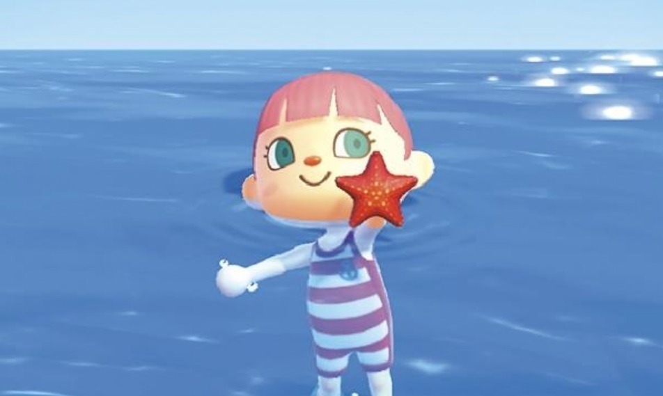 仙台うみの杜水族館で「あつまれ どうぶつの森」コラボ企画、“学芸員フータ”の豆知識付き特別展示など｜写真5