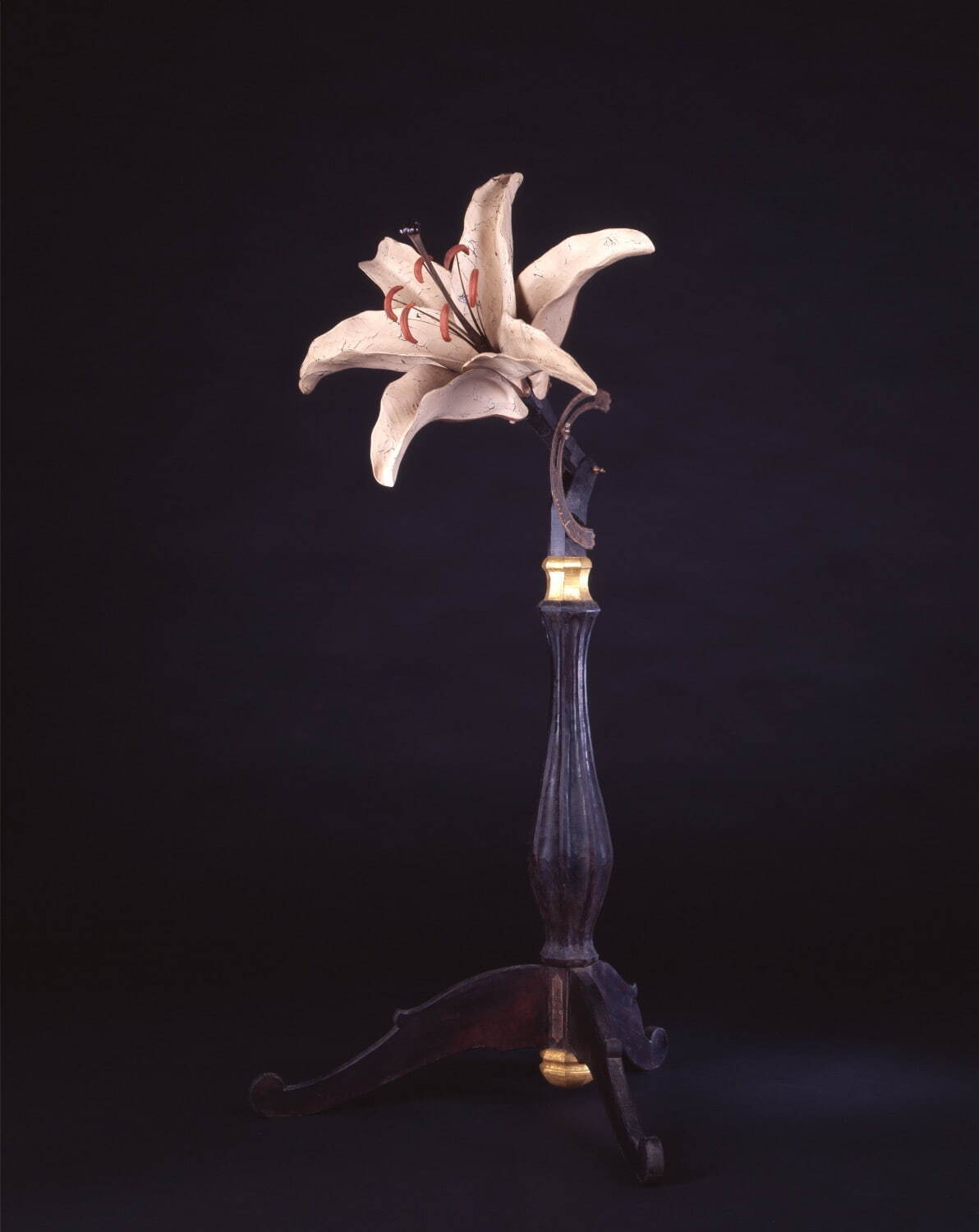 大森暁生 《Gothic Casa Blanca》 2007年 個人蔵
Photo: Katsura Endo ©AKIO OHMORI