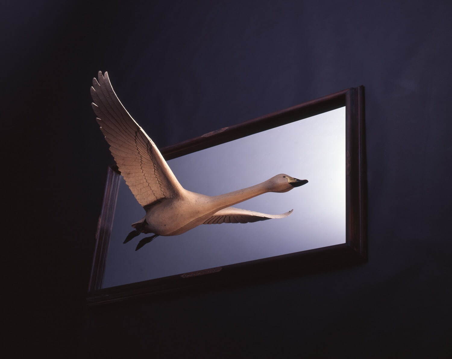 大森暁生 《Swan in the frame (Type-A)》 2005年 個人蔵
Photo: Katsura Endo ©AKIO OHMORI