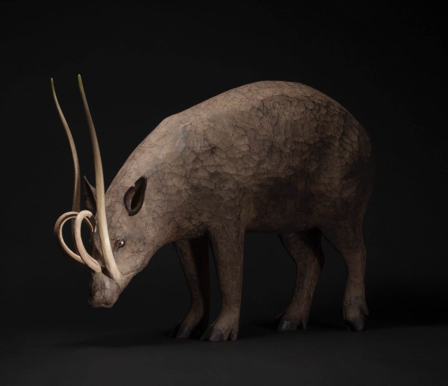 大森暁生 《死に生ける獣—Babirusa—》 2016年 個人蔵
Photo: Katsura Endo ©AKIO OHMORI