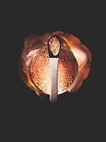 ディオール(DIOR) プレステージ｜写真9