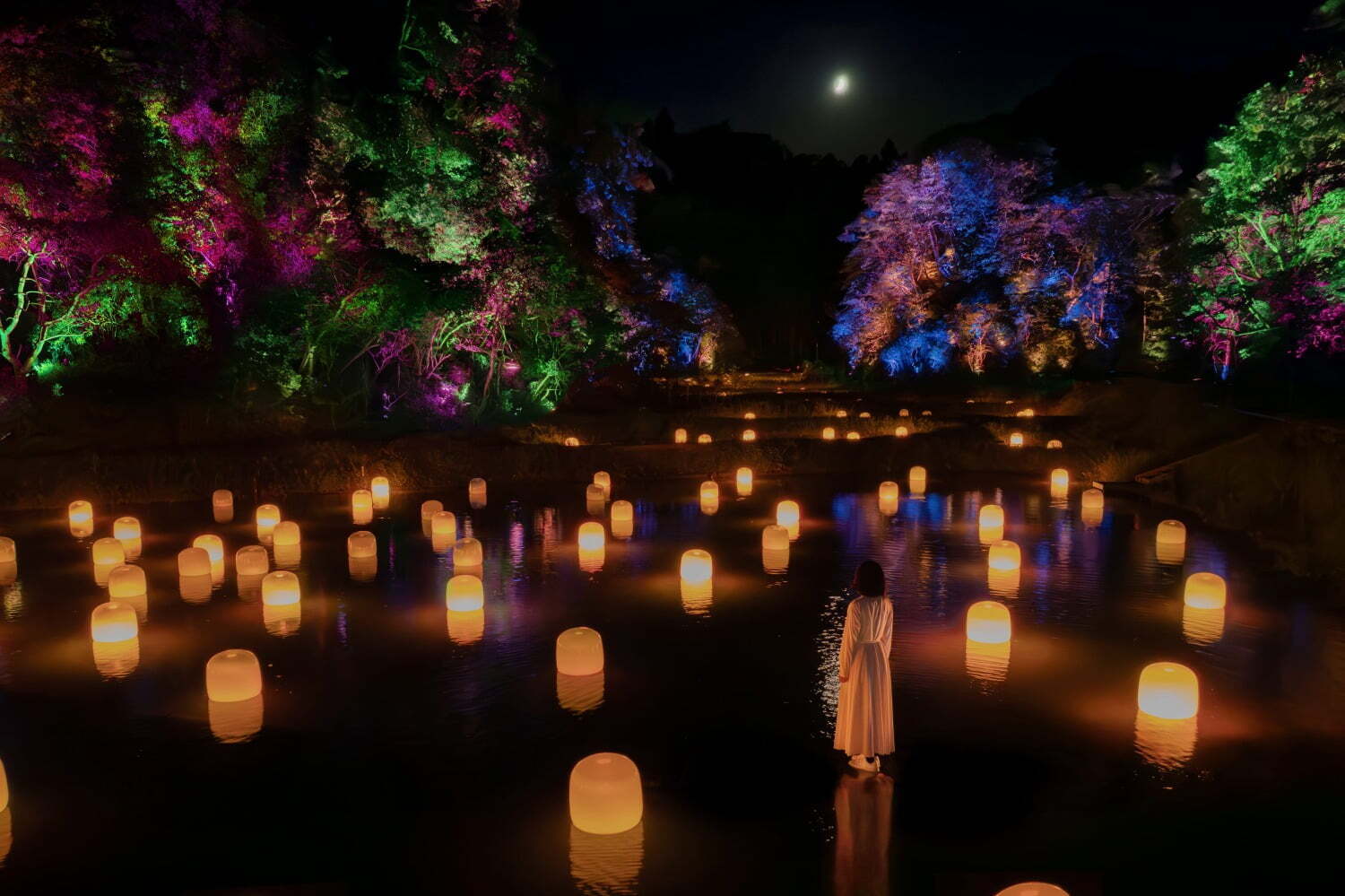 キャンプ｜「チームラボ 幽谷隠田跡」茨城・五浦に“夜の森”と一体化する光のアート、温泉＆グランピング施設も開業