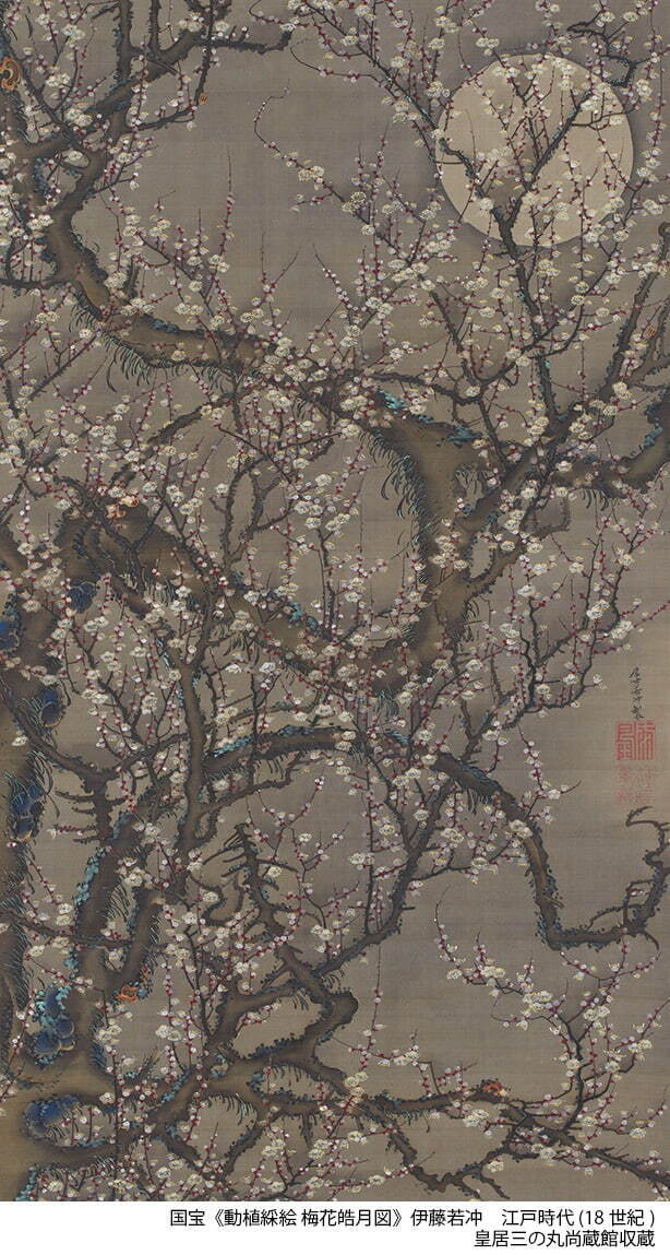 国宝 伊藤若冲 《動植綵絵梅花皓月図》 江戸時代 18世紀 皇居三の丸尚蔵館収蔵
