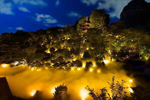 ロクシタン(L'OCCITANE) オスマンサス｜写真7