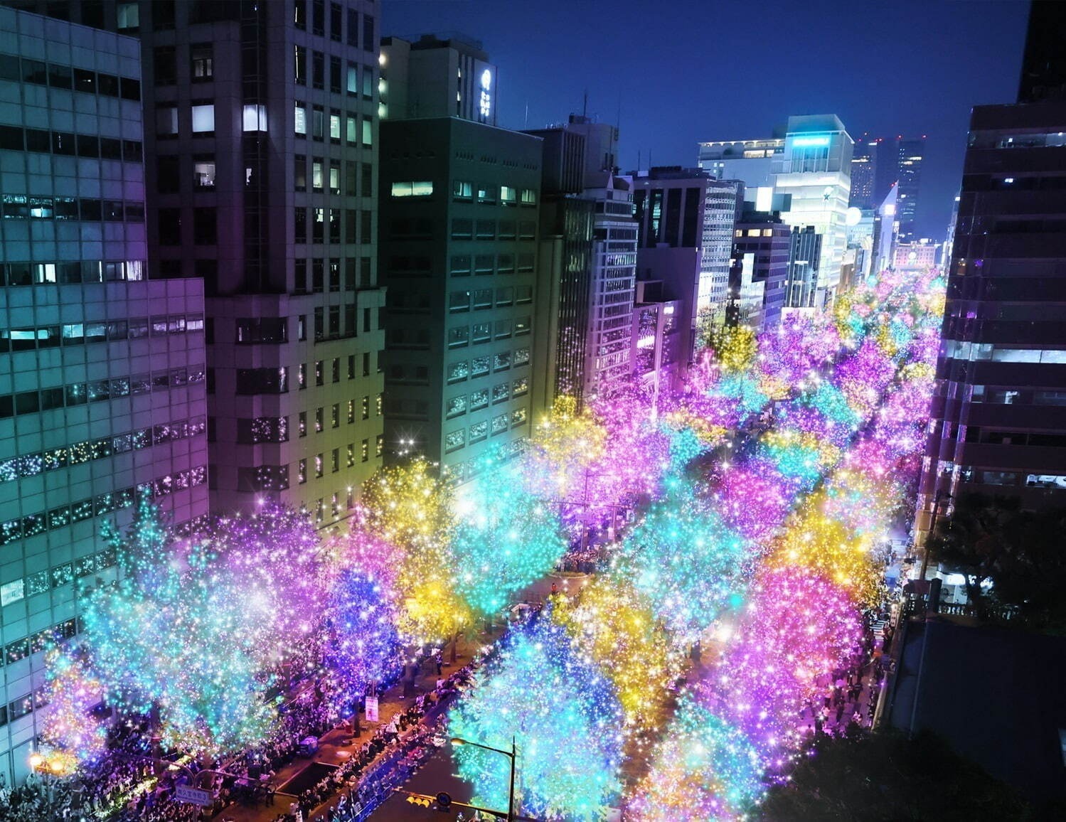 「関西のイルミネーション2024-2025」大阪・神戸のライトアップ情報・冬のデートスポット｜写真1