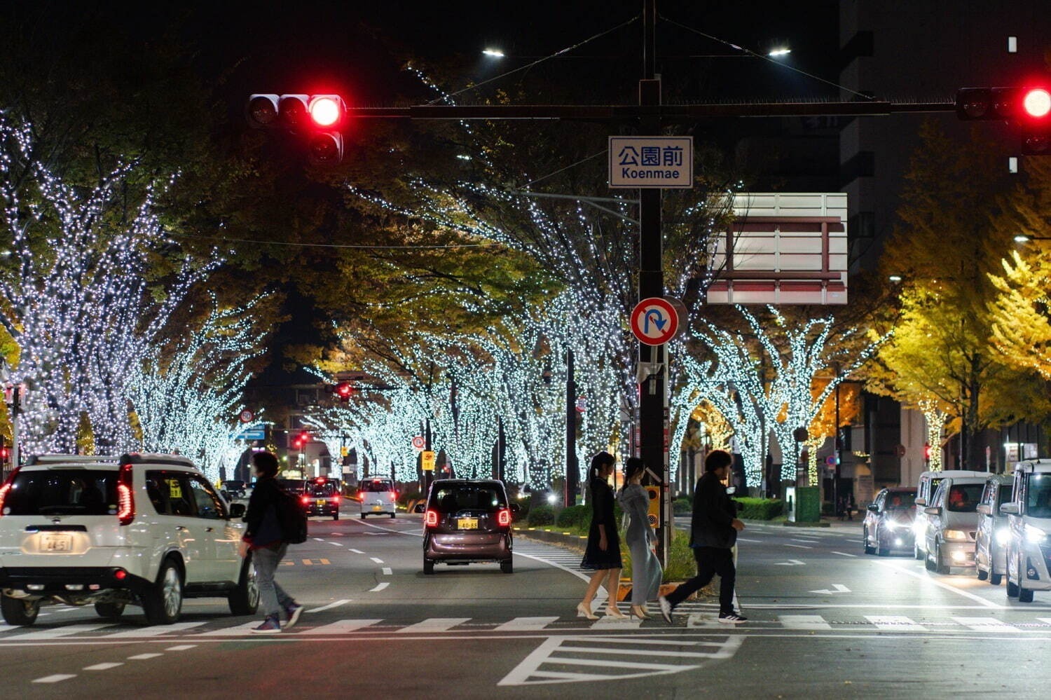 「関西のイルミネーション2024-2025」大阪・神戸のライトアップ情報・冬のデートスポット｜写真4
