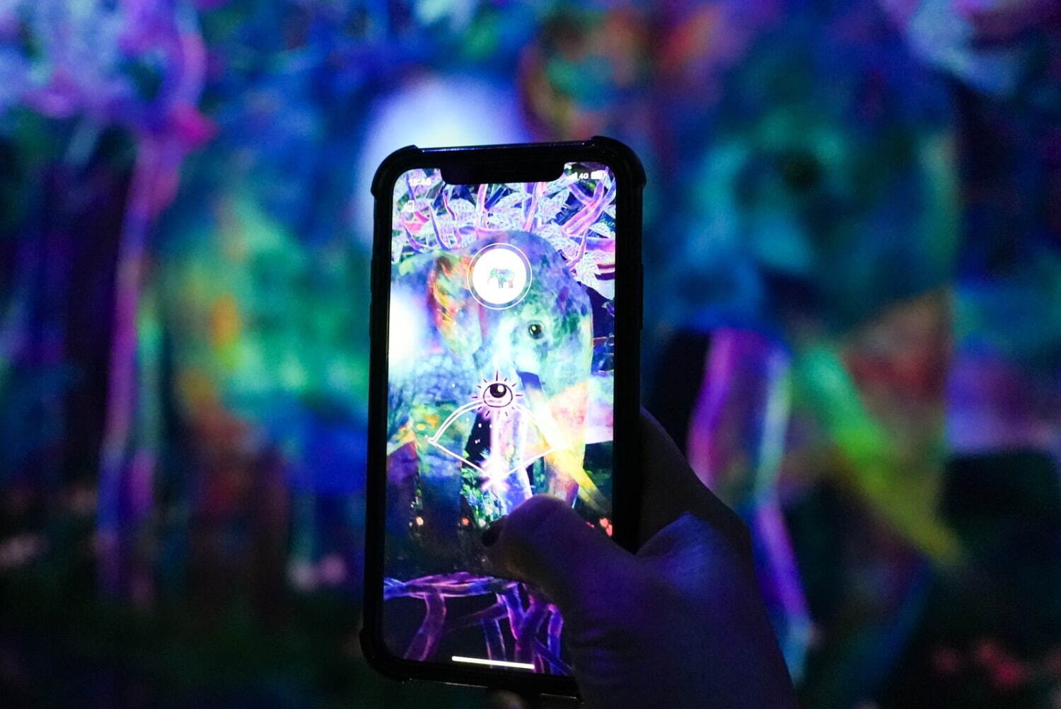 チームラボ《つかまえて集める絶滅の森》2020/2025, Interactive Digital installation, Endless, Sound: Hideaki Takahashi