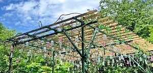 箱根ガラスの森美術館「クリスタルガラスの水上花火」約4万8千粒が煌めくオブジェ、そよ風に揺れる風鈴も｜写真2