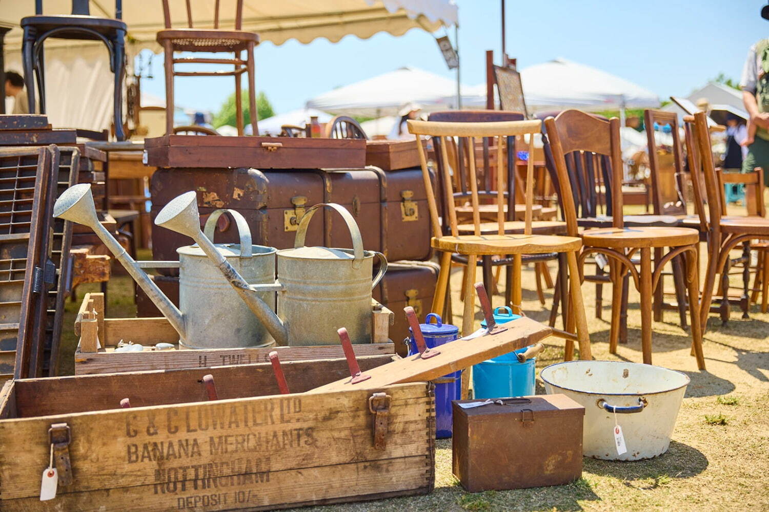 古着｜大阪・万博記念公園で「万博蚤の市」アンティーク＆ヴィンテージショップ100店以上が集結