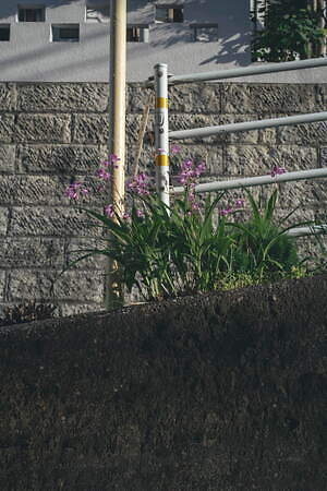 キャプテン サンシャイン(KAPTAIN SUNSHINE) 2024-25年秋冬ウィメンズ&メンズコレクション  - 写真49