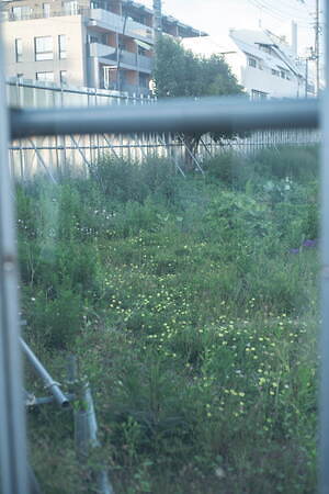 キャプテン サンシャイン(KAPTAIN SUNSHINE) 2024-25年秋冬ウィメンズ&メンズコレクション  - 写真53