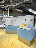 タンバリンズ(TAMBURINS) カーディフューザー｜写真11