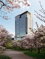 ホテル「パティーナ大阪」日本初進出、全客室から大阪城＆難波宮跡公園を望むラグジュアリーホテル｜写真34