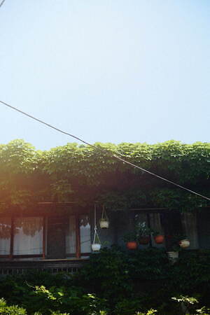 メリージェニー(merry jenny) 2024-25年秋冬ウィメンズコレクション  - 写真12