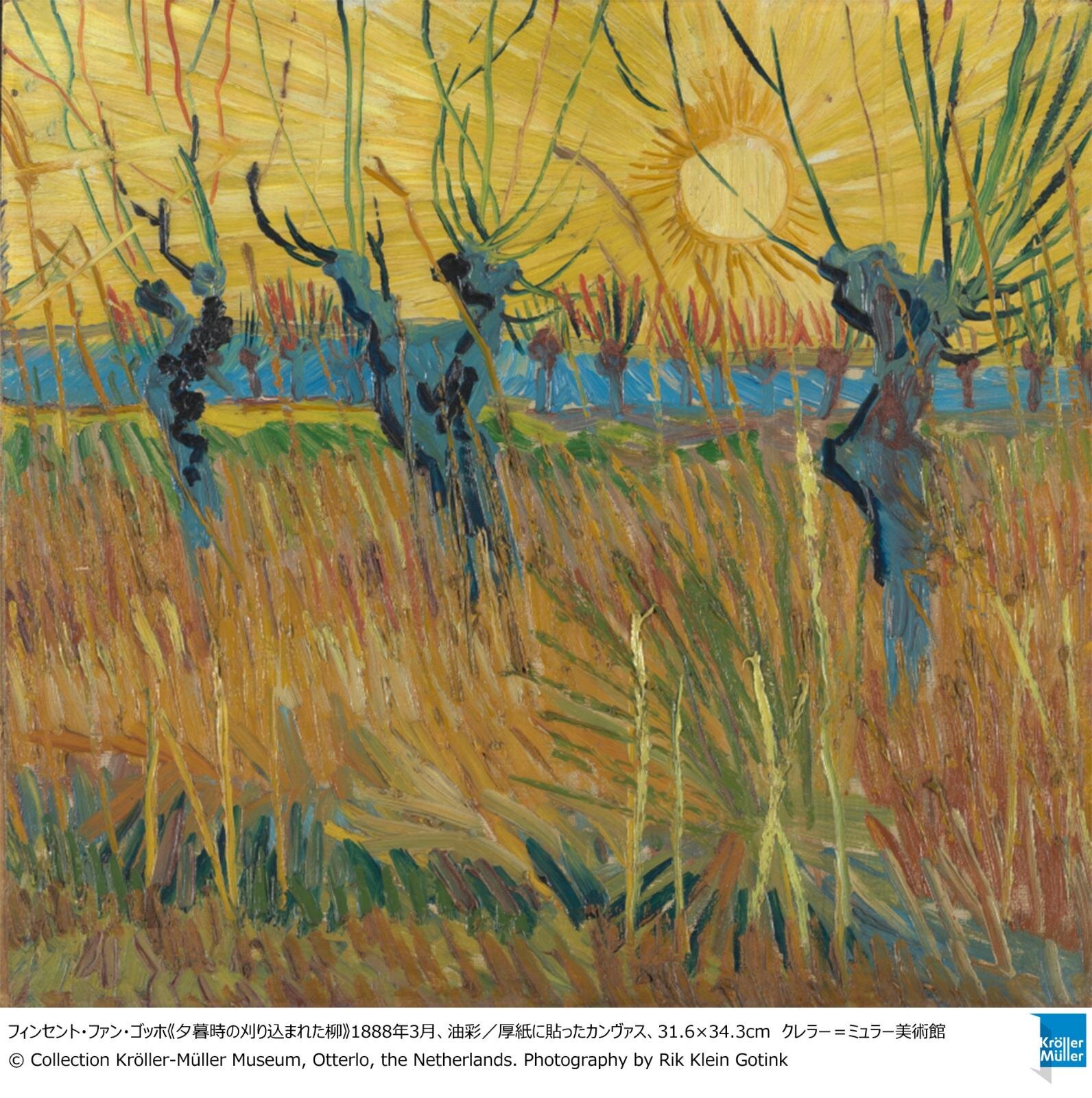 フィンセント・ファン・ゴッホ《夕暮時の刈り込まれた柳》1888年3月、油彩／厚紙に貼ったカンヴァス、31.6×34.3cm クレラー＝ミュラー美術館