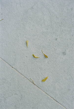 レイ ビームス(Ray BEAMS) 2024-25年秋冬ウィメンズコレクション  - 写真12