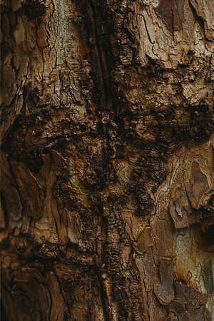 ブラームス(blurhms) 2024-25年秋冬ウィメンズ&メンズコレクション  - 写真1