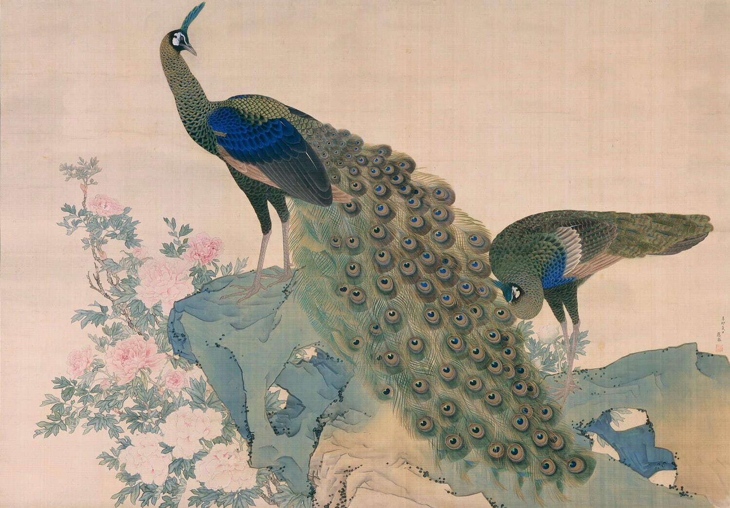 重要文化財 円山応挙 《牡丹孔雀図》 江戸時代 明和8年(1771年) 相国寺蔵 ［後期展示］