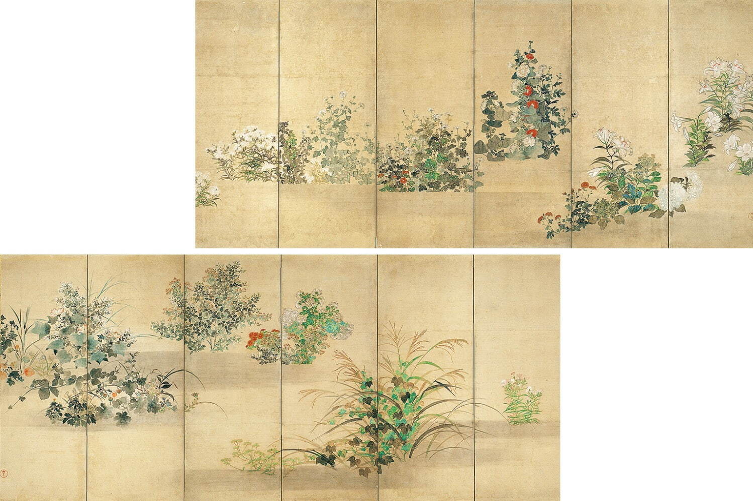 《夏秋草図屏風》 伊年印 日本・江戸時代 17世紀 根津美術館蔵