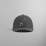 キス(Kith) スパイダーマン｜写真48