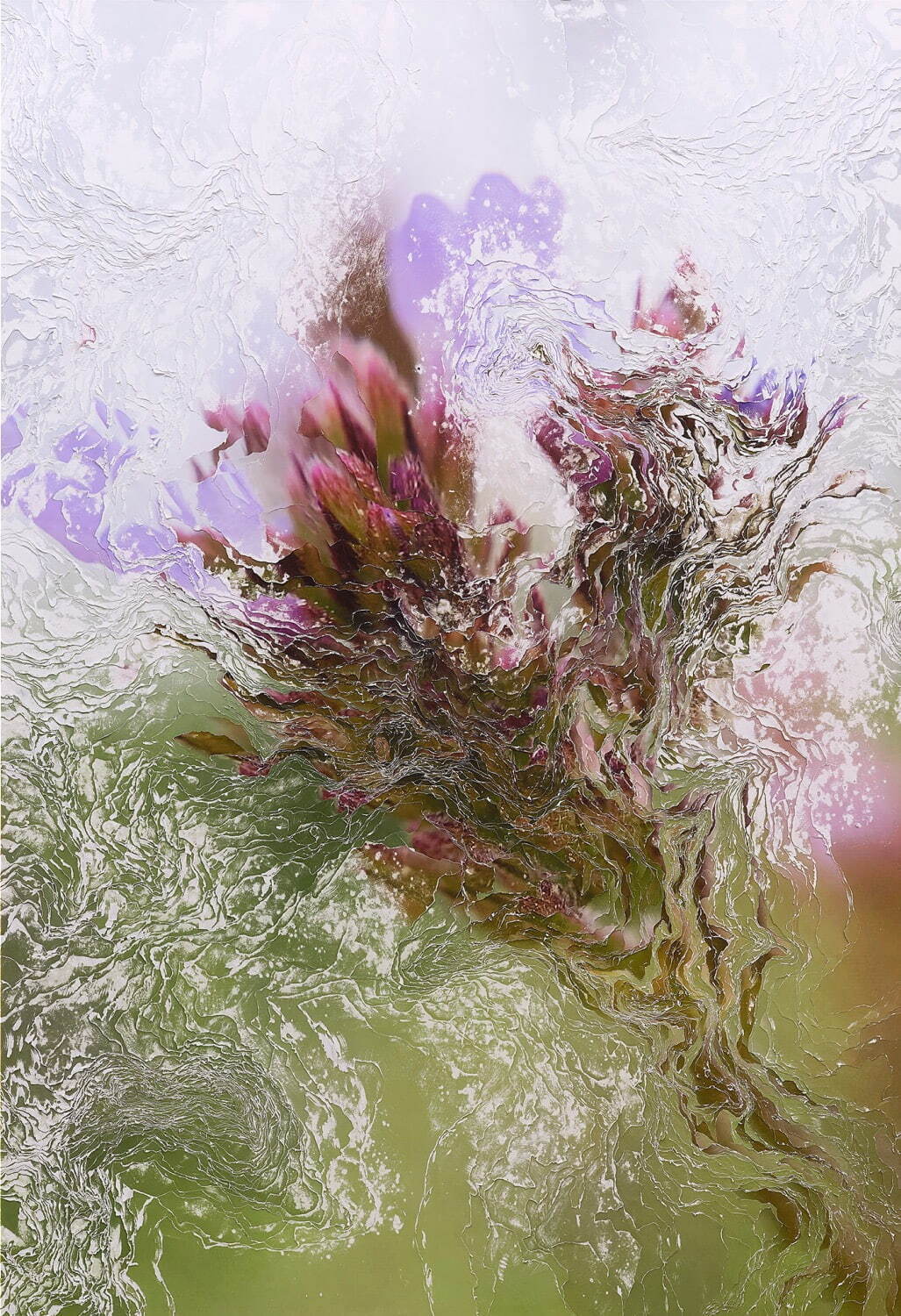 Nerhol 《Verbena brasiliensis》 2023年 ©Nerhol
Courtesy of Yutaka Kikutake Gallery
Photo by Yosuke Torii